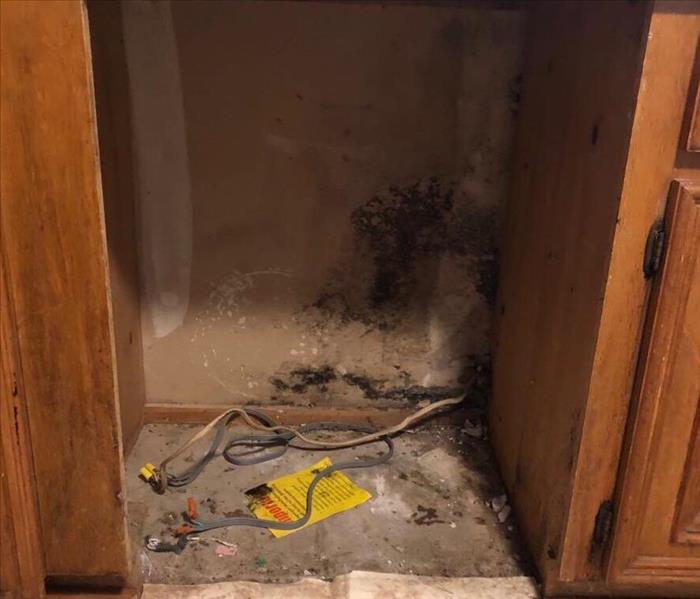 The wall behind a cabinet with suspicious growth growing from a water damage