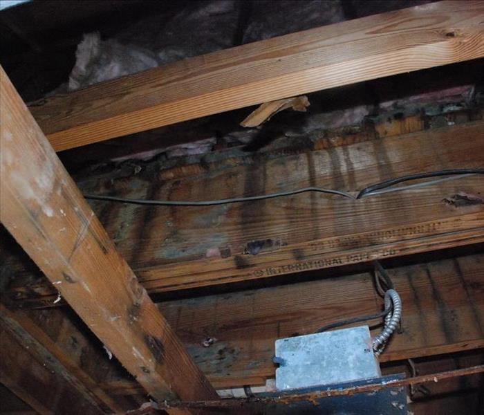 The top of a wood ceiling with mold growth on it