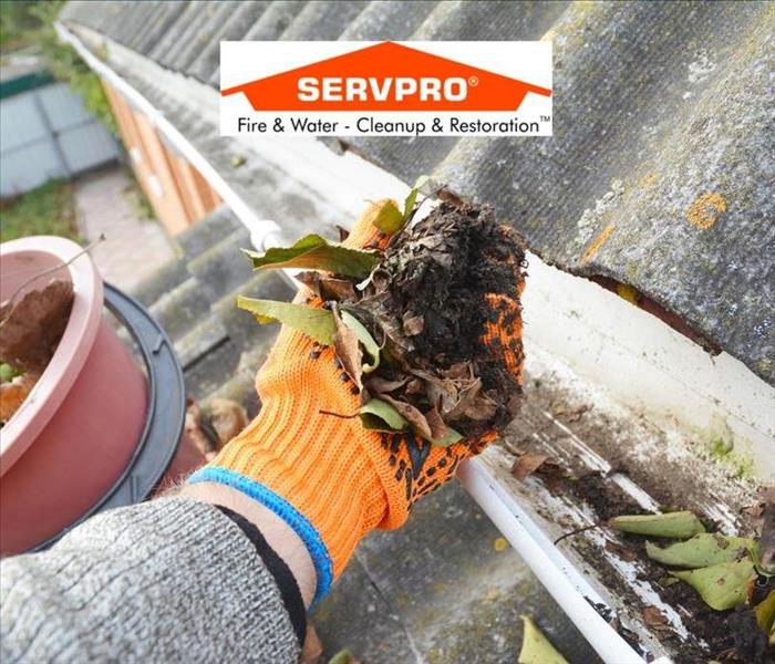 A closeup of a hand with a orange glove on holding leaves and dirt from a roof gutter and the SERVPRO logo at the top