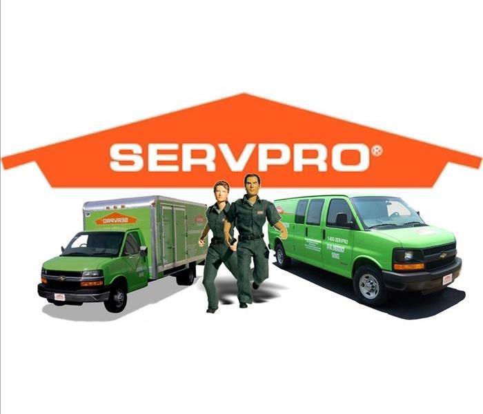 A image of green SERVPRO trucks driving on the road with the SERVPRO logo at the bottom